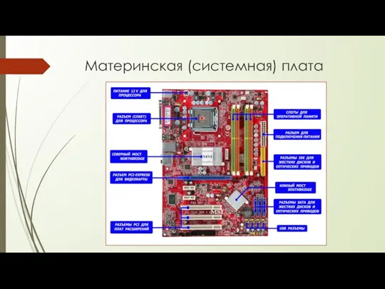 Материнская (системная) плата