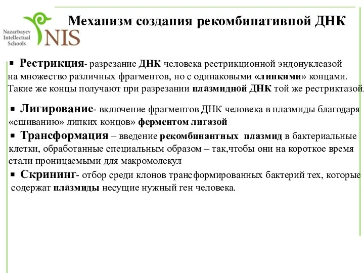 Механизм создания рекомбинативной ДНК Рестрикция- разрезание ДНК человека рестрикционной эндонуклеазой на множество