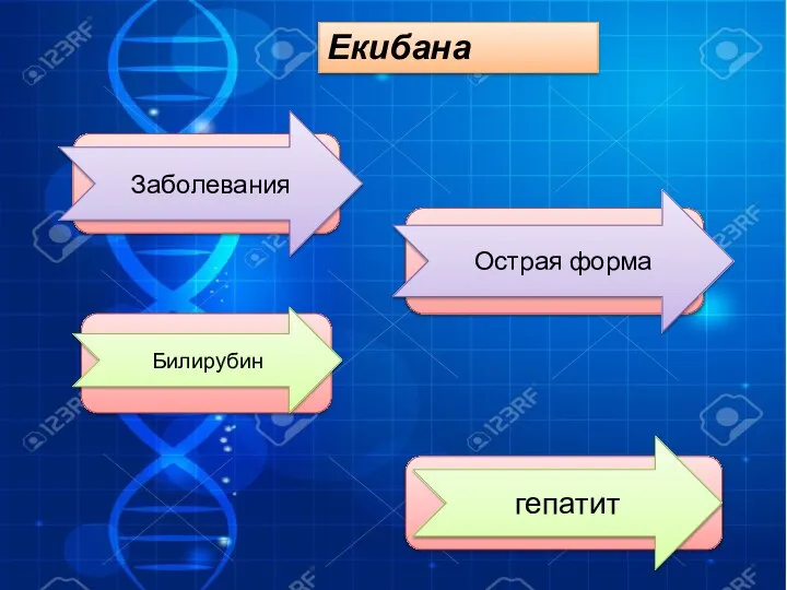 Екибана обеваиязалн риббиилун трсчаорфмаоя пегттиа Заболевания Острая форма Билирубин гепатит