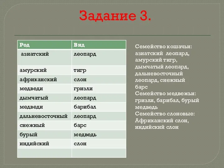 Задание 3. Семейство кошачьи: азиатский леопард, амурский тигр, дымчатый леопард, дальневосточный леопард,