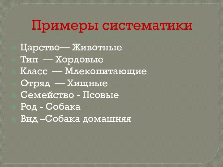 Примеры систематики Царство— Животные Тип — Хордовые Класс — Млекопитающие Отряд —