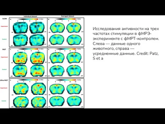 Исследования активности на трех частотах стимуляции в фМРЭ-эксперименте с фМРТ-контролем. Слева —