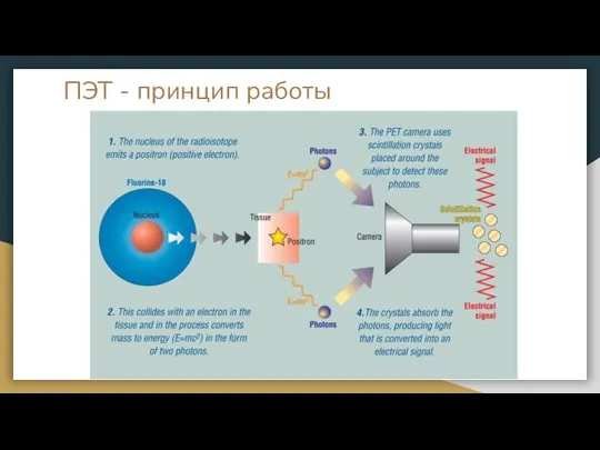 ПЭТ - принцип работы