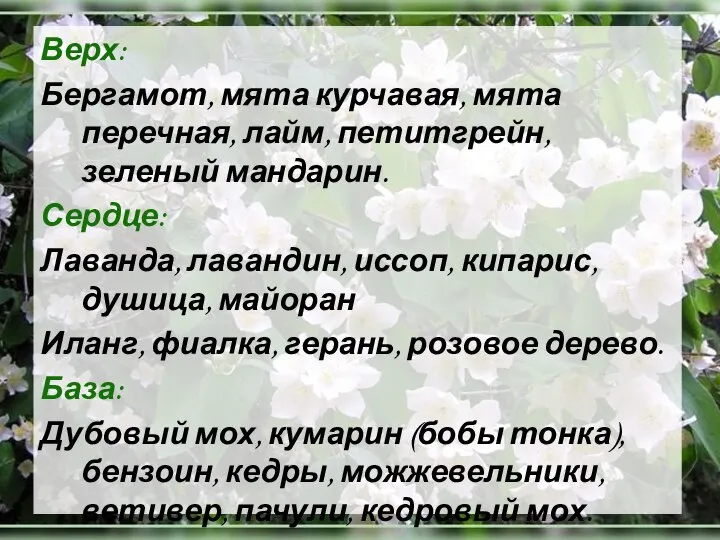 Верх: Бергамот, мята курчавая, мята перечная, лайм, петитгрейн, зеленый мандарин. Сердце: Лаванда,