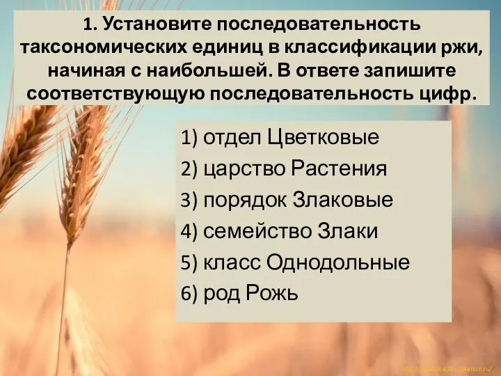 1. Установите последовательность таксономических единиц в классификации ржи, начиная с наибольшей. В