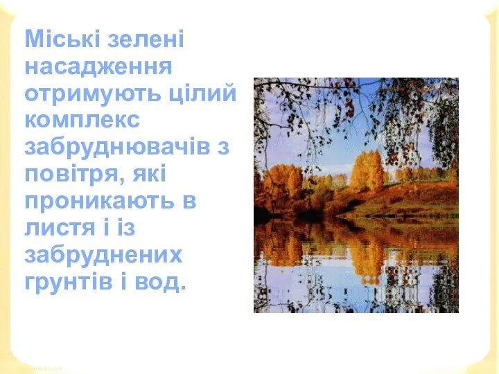 Міські зелені насадження отримують цілий комплекс забруднювачів з повітря, які проникають в