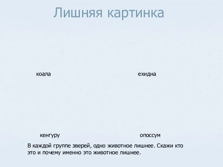 Лишняя картинка В каждой группе зверей, одно животное лишнее. Скажи кто это