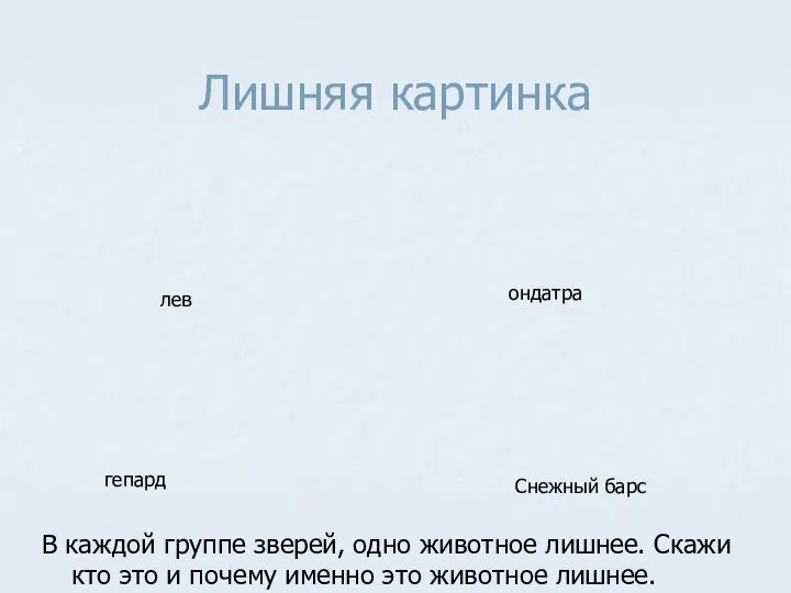 Лишняя картинка В каждой группе зверей, одно животное лишнее. Скажи кто это