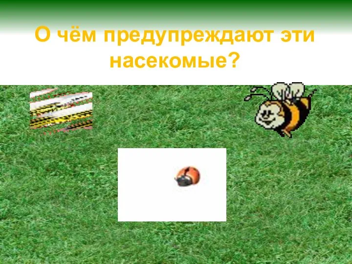 О чём предупреждают эти насекомые?