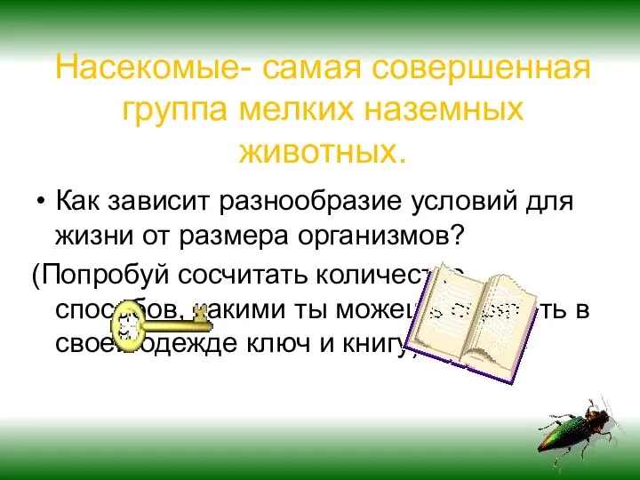 Насекомые- самая совершенная группа мелких наземных животных. Как зависит разнообразие условий для