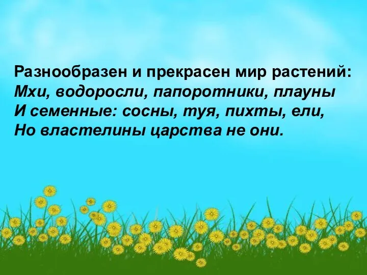 Разнообразен и прекрасен мир растений: Мхи, водоросли, папоротники, плауны И семенные: сосны,