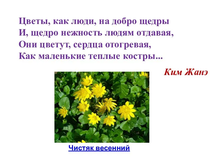 Цветы, как люди, на добро щедры И, щедро нежность людям отдавая, Они