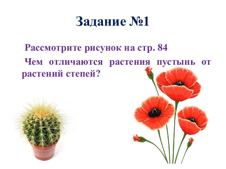 Задание №1 Рассмотрите рисунок на стр. 84 Чем отличаются растения пустынь от растений степей?