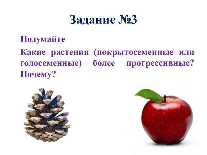 Задание №3 Подумайте Какие растения (покрытосеменные или голосеменные) более прогрессивные? Почему?