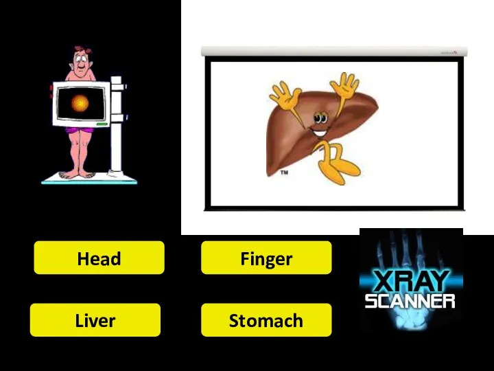 Head Finger Liver Stomach