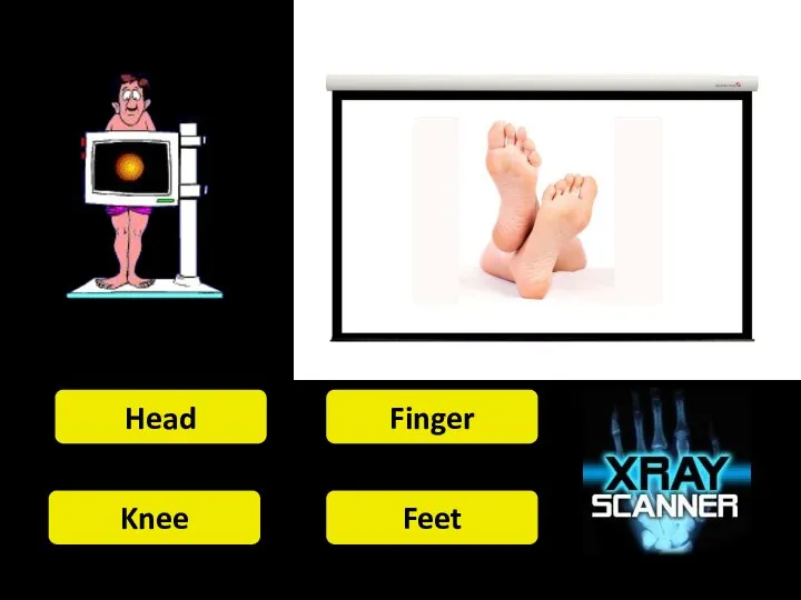 Head Finger Knee Feet