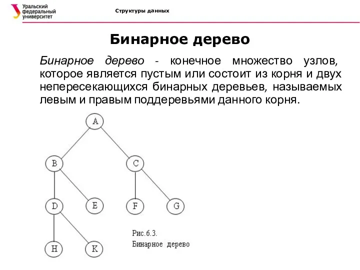 Структуры данных Бинарное дерево Бинарное дерево - конечное множество узлов, которое является