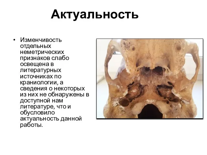 Актуальность Изменчивость отдельных неметрических признаков слабо освещена в литературных источниках по краниологии,