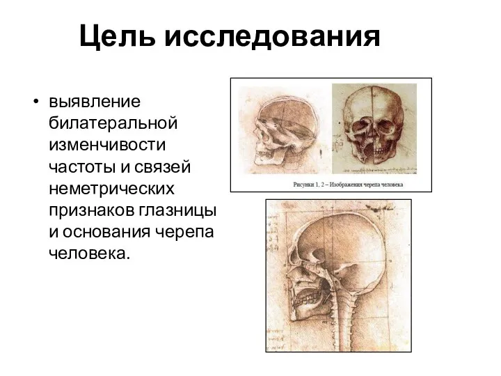 Цель исследования выявление билатеральной изменчивости частоты и связей неметрических признаков глазницы и основания черепа человека.