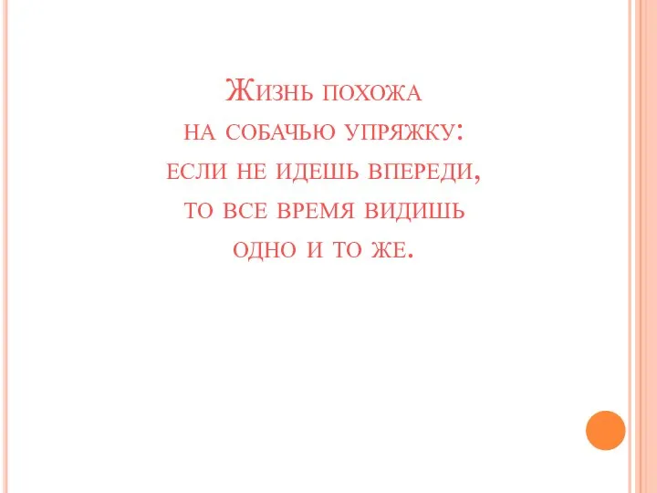 Жизнь похожа на собачью упряжку: если не идешь впереди, то все время