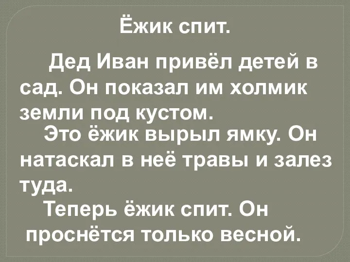 Ёжик спит. Дед Иван привёл детей в сад. Он показал им холмик