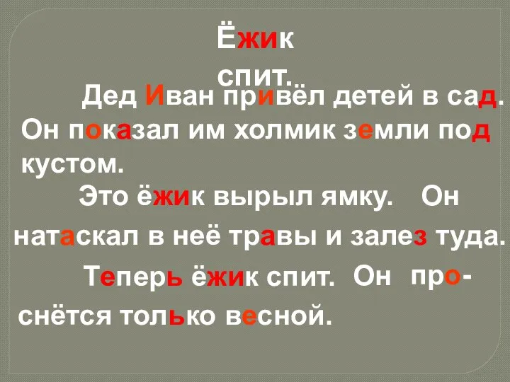 Ёжик спит. Дед Иван привёл детей в сад. Он показал им холмик