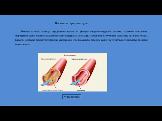 Влияние на сердце и сосуды Никотин и окись углерода отрицательно влияют на