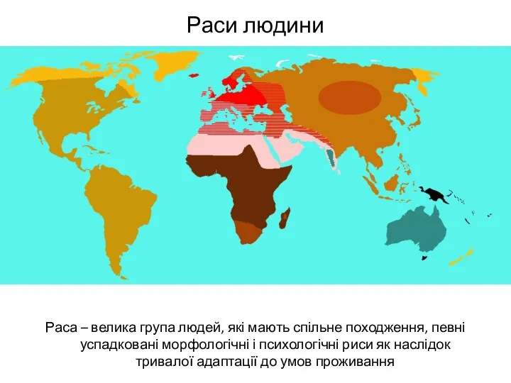 Раси людини Раса – велика група людей, які мають спільне походження, певні