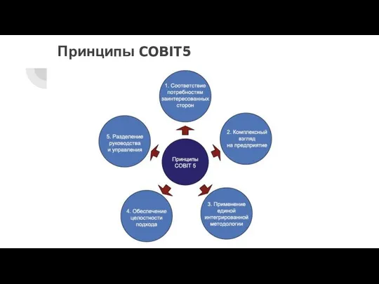 Принципы COBIT5