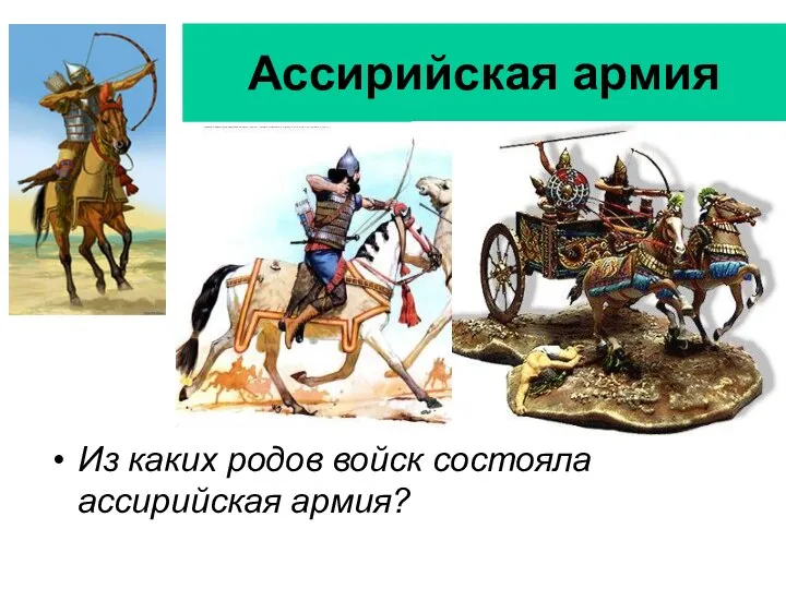 Ассирийская армия Из каких родов войск состояла ассирийская армия?