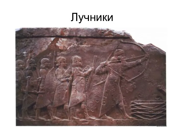 Лучники