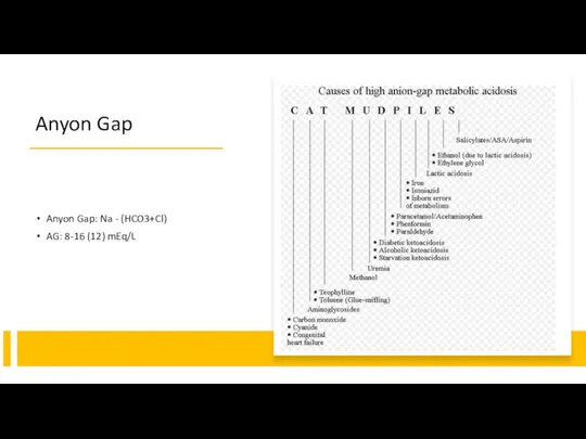 Anyon Gap Anyon Gap: Na - (HCO3+Cl) AG: 8-16 (12) mEq/L