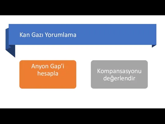 Kan Gazı Yorumlama