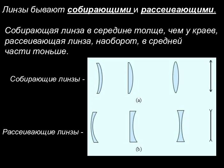 Линзы бывают собирающими и рассеивающими. Собирающая линза в середине толще, чем у