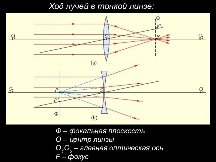 Ф – фокальная плоскость О – центр линзы О1О2 – главная оптическая