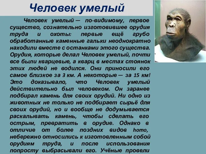 Человек умелый — по-видимому, первое существо, сознательно изготовившее орудия труда и охоты: