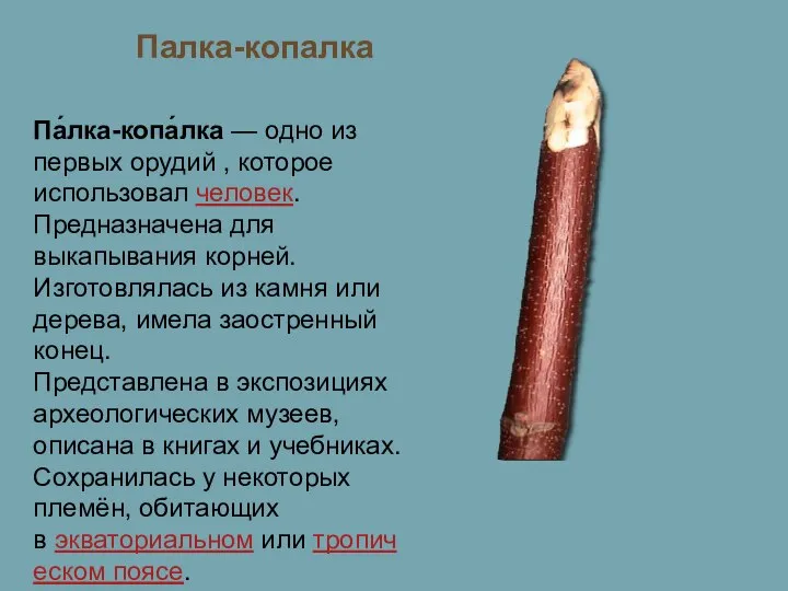 Па́лка-копа́лка — одно из первых орудий , которое использовал человек. Предназначена для