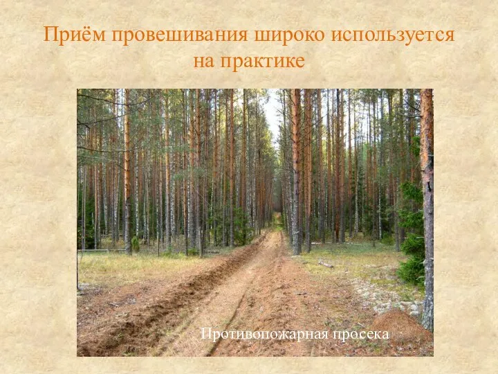 Приём провешивания широко используется на практике Противопожарная просека