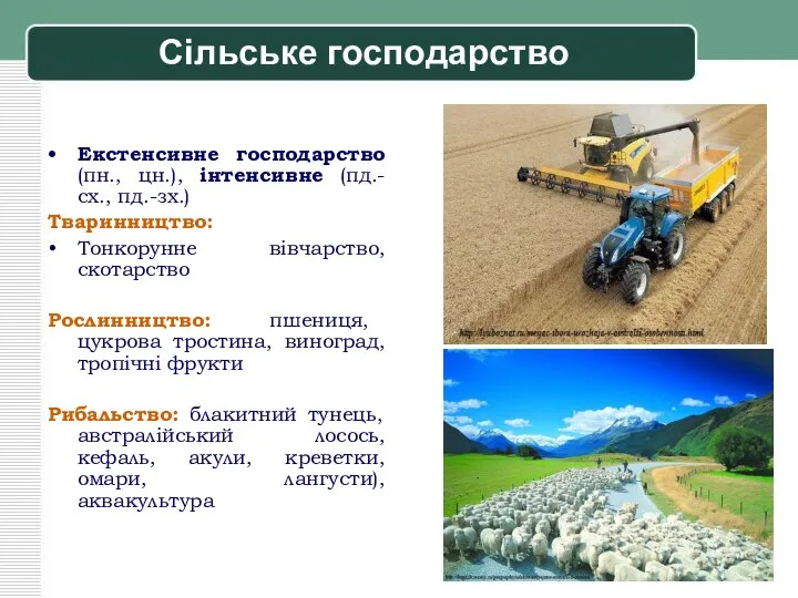 Сільське господарство Екстенсивне господарство (пн., цн.), інтенсивне (пд.-сх., пд.-зх.) Тваринництво: Тонкорунне вівчарство,