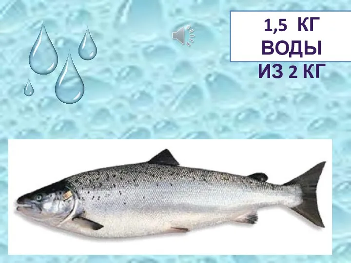 1,5 КГ ВОДЫ ИЗ 2 КГ