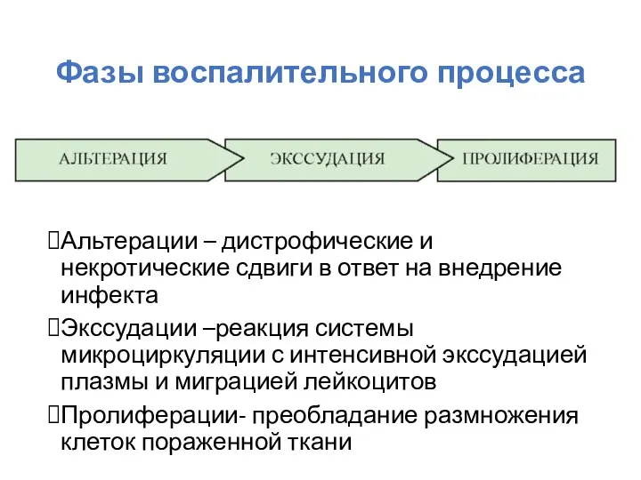 Фазы воспалительного процесса Альтерации – дистрофические и некротические сдвиги в ответ на