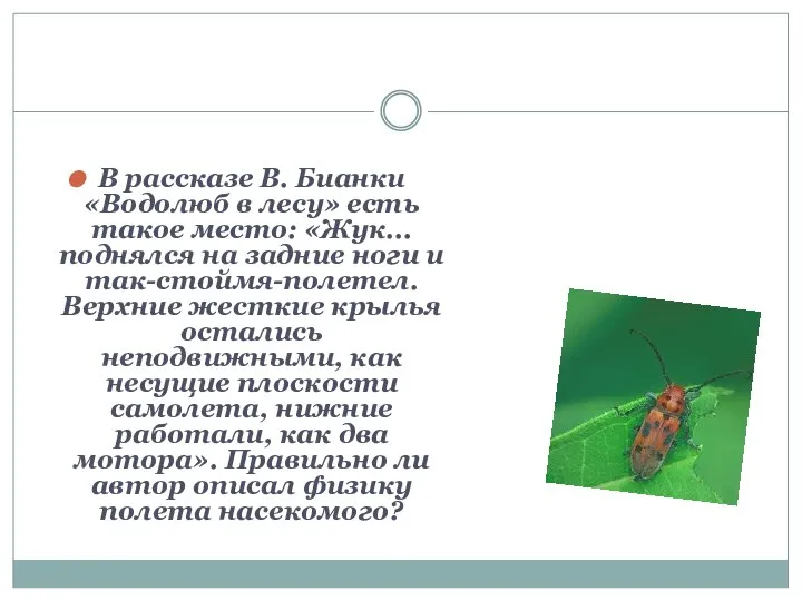 В рассказе В. Бианки «Водолюб в лесу» есть такое место: «Жук... поднялся