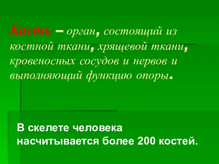 Кость – орган, состоящий из костной ткани, хрящевой ткани, кровеносных сосудов и