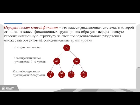 Стандартизация Иерархическая классификация – это классификационная система, в которой отношения классификационных группировок