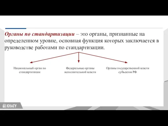 Стандартизация Органы по стандартизации – это органы, признанные на определенном уровне, основная