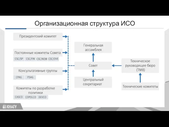 Стандартизация Организационная структура ИСО