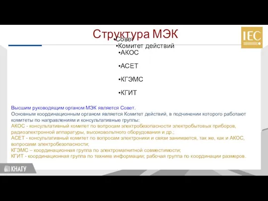 Структура МЭК Совет Комитет действий АКОС АСЕТ КГЭМС КГИТ Стандартизация Высшим руководящим