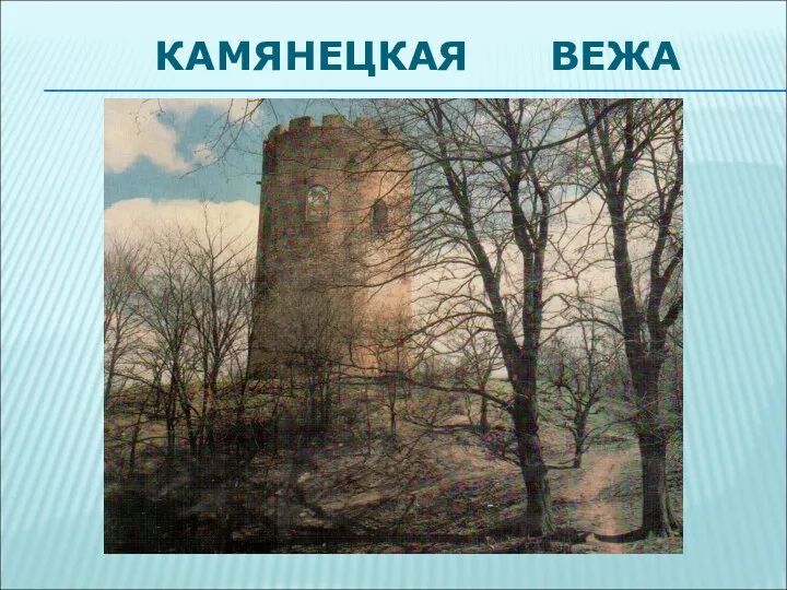 КАМЯНЕЦКАЯ ВЕЖА