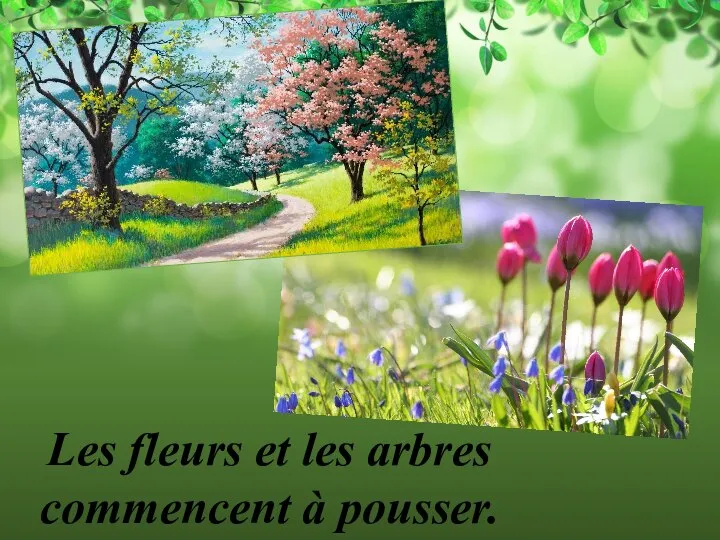 Les fleurs et les arbres commencent à pousser.