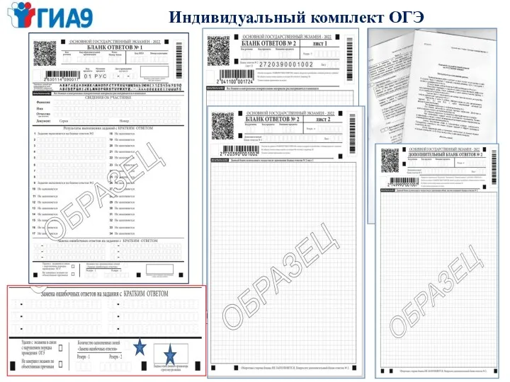 Индивидуальный комплект ОГЭ